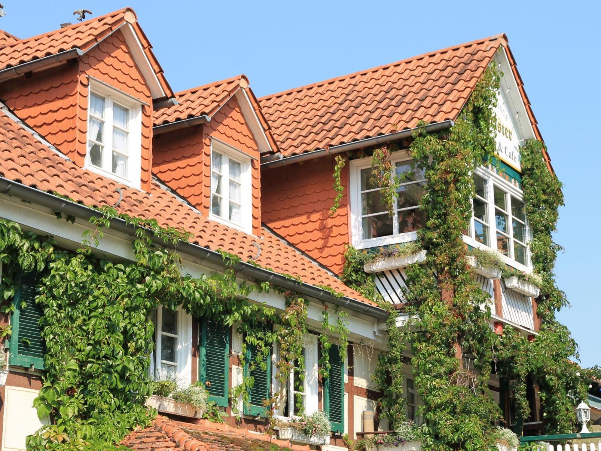 Landgasthof & Landhaus Hofmeister Diemelsee 外观 照片